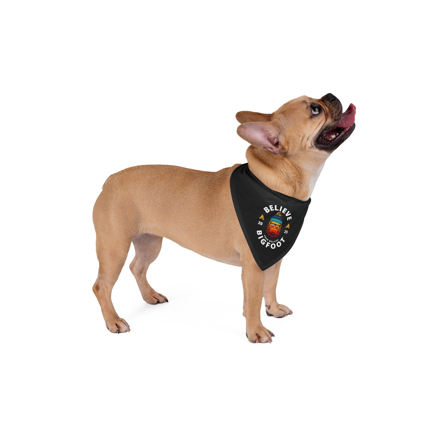Pet Bandana — 'Believe Bigfoot' Retro Sasquatch Dog & Cat Bandana, Outdoor Adventure Pet Accessory